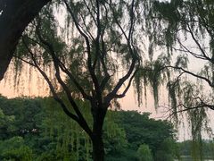-东华大学(松江校区)