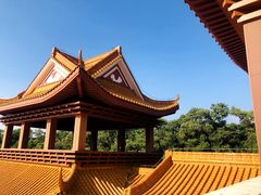 -深圳仙湖植物园