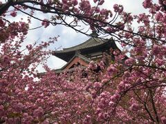 -西安青龙寺遗址景区