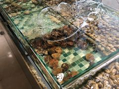 -四海蒸鲜蒸汽海鲜自助(北戴河店)
