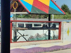 -西霞口神雕山野生动物世界