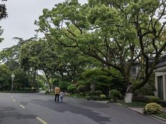 -浙江西子宾馆·瑶园咖啡厅