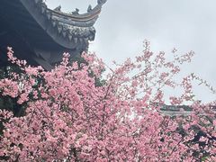 -常熟方塔园