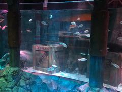 -沈阳海洋探索中心