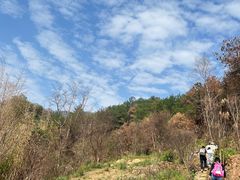 -缙云山景区