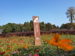 -九里河湿地公园