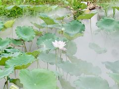 -龙环葡韵住宅式博物馆