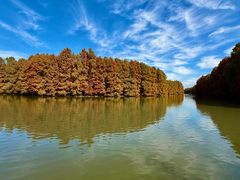 -上海海湾国家森林公园