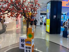 -凯德MALL(西直门店)
