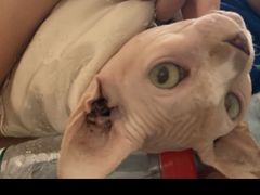 -雲泊自然养生·足道SPA(鎏嘉码头店)