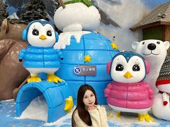 -湘江欢乐城欢乐雪域