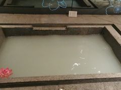 -春晖园度假酒店温泉