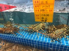 -友鹏海鲜(新宜白大道店)