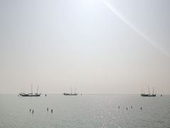 -贡湖湾湿地公园
