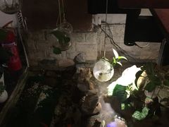 -许榴香西餐厅(台东步行街店)