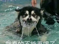 -皇冠自酿啤酒坊(中国红街5号楼店)