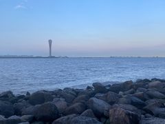 -上海吴淞炮台湾国家湿地公园