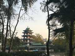 -桂湖森林公园