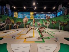 -国家自然博物馆