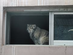 -青藏高原野生动物园