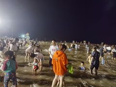 -碧海金沙