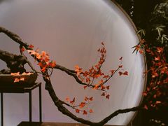 -六朝博物馆