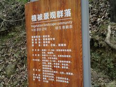 -花岩国家森林公园