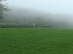 -武陵山森林公园