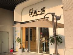 -瞄一喵猫咖(格力海岸店)