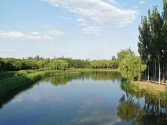 -大兴滨河森林公园