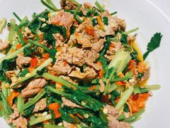 香菜炒牛肉-壹盏灯(蚂蚁工房店)