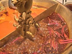-小龙翻大江文化火锅(宽窄店)