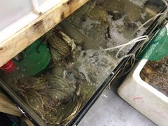 -阿杰臻选海鲜饭店(普陀山店)