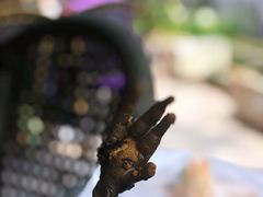 卤鸡脚-老号尤兔头(西川店)