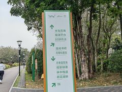 -立新湖公园