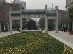 -武汉大学-樱园