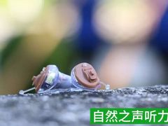 -自然之声助听器·呼吸机(翠微大厦店)