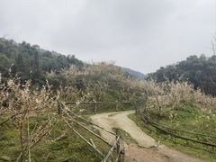 -樱桃山旅游景区