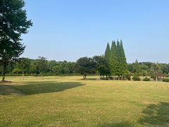 -宜兴龙背山森林公园