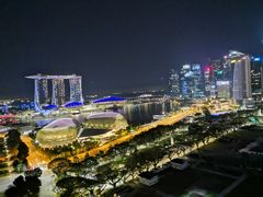 -新加坡瑞士史丹福酒店