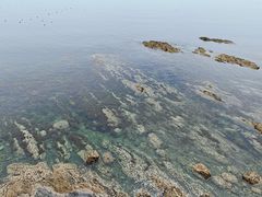 -大连金石滩滨海国家地质公园