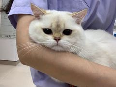 -立德动物医院·24小时中心(番禺区院区)