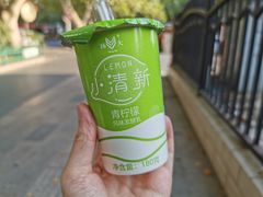 青柠檬酸奶-扬大康源乳业鲜奶吧(大学北路店)
