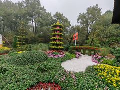 -南山植物园