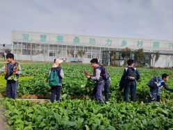 -太湖雪蚕桑文化园