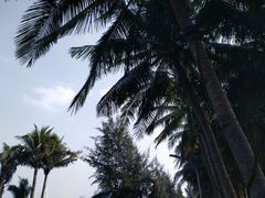 -万绿园