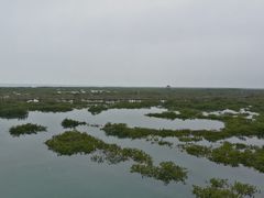 -北海金海湾红树林生态旅游区