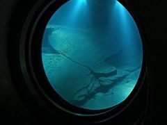 -白鹤梁水下博物馆