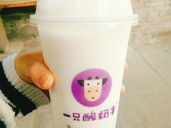 -一只酸奶牛(八一路店)