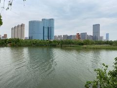 -艾溪湖湿地公园